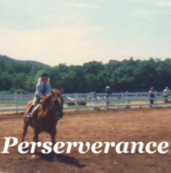 Perseverance2-min